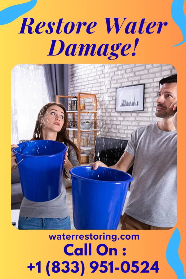 water restoration Stellar Sewage Cleanup Co Austinville